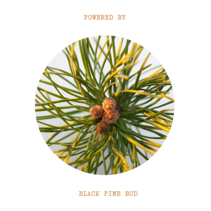 Black Pine Primus Wrinkle Defying Day Cream/ Дневен крем против бръчки